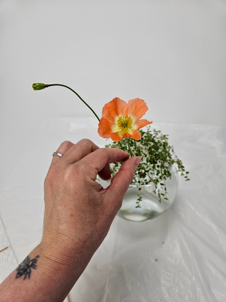 Fill the tubes with water and slip the flower stems into position Fill the tubes with water and slip the flower stems into position