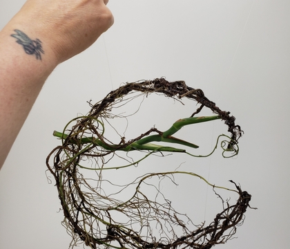 Use dried roots from a re-potted Monstera to create a root lace-wreath