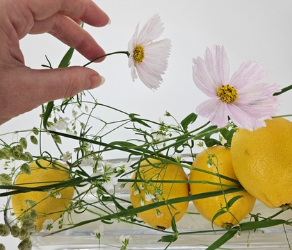Add lemony summer balance to wild “just picked these” design elements to avoid overcrowding your container.