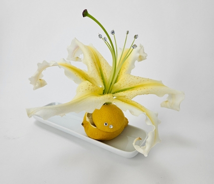 Just how easy peasy breezy summer lemon squishy?