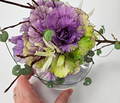 A grand kale to spark that almost end of summer colour