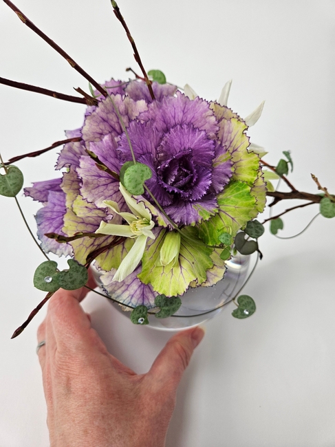 A grand kale to spark that almost end of summer colour