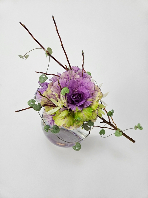 Your brain rewards curiosity on a grand…. kale