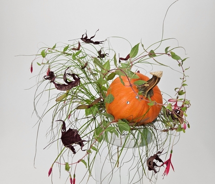 And just like that, it is The Pumpkin’s Turn