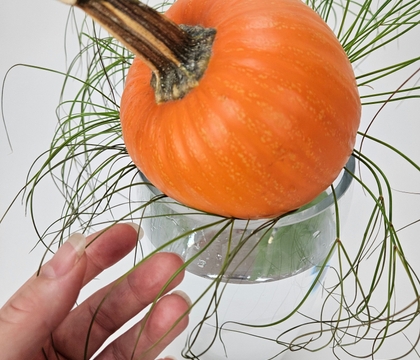 Turning a pumpkin to hover for a sway in the lightest autumn breeze display