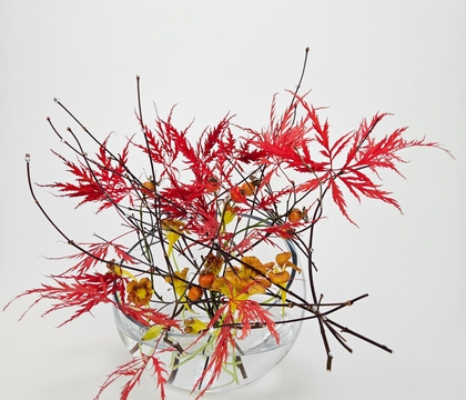 Autumn's Brightest Wanted: