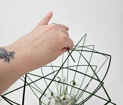 Adjustable nested grass Wood Wide Web shelter for tiny snow drops