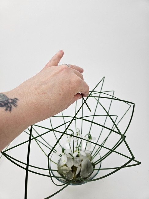 Adjustable nested grass Wood Wide Web shelter for tiny snow drops