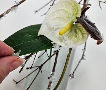 Just sparkly enough (for January) frosted twig frog to balance your anthurium stems just so