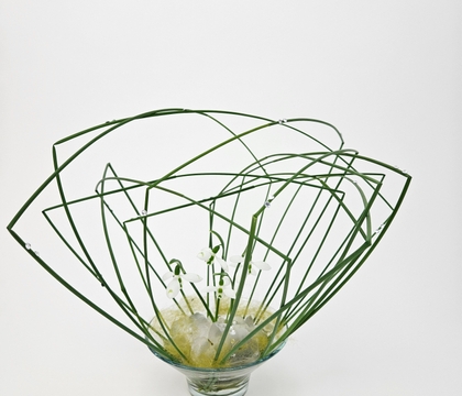 Subject: A Formal Complaint Regarding the Distinct Lack of Snowflakiness