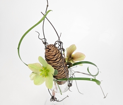 An open and shut cone