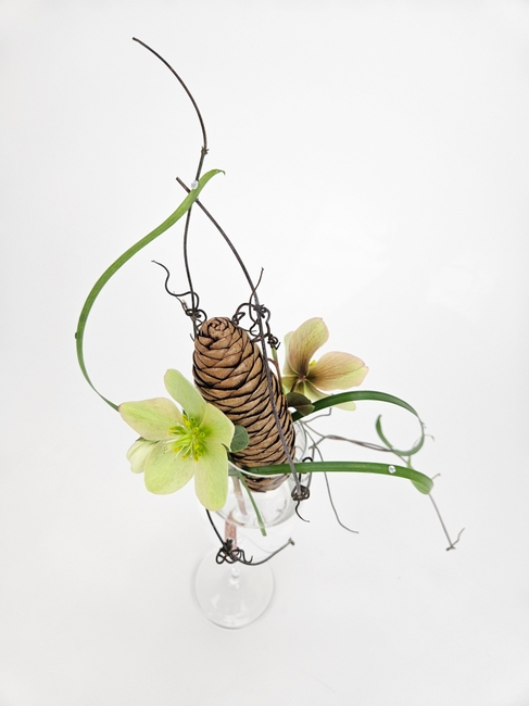 An open and shut cone