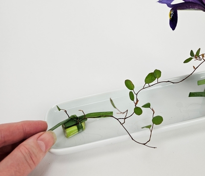 Knotted parcels to position your plant material in a design