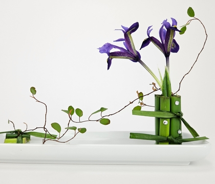 Knot rushing this design moment