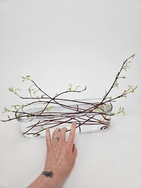 A dogwood frog with tiny dew drop crystal rafts that won't get lost in the twigs