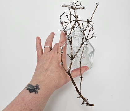 The prettiest stick to stick up, out and over to support clematis vines up, under and in to its fullest and drapy-est potential.