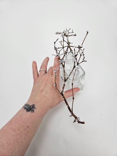 The prettiest stick to stick up, out and over to support clematis vines up, under and in to its fullest and drapy-est potential.