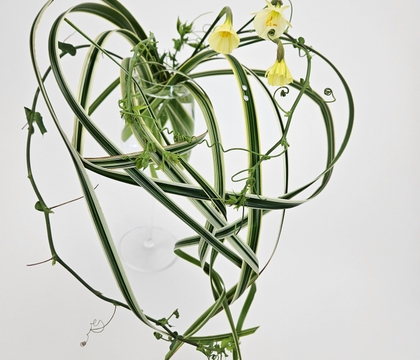 For the love of those little gasps of unexpected wonder