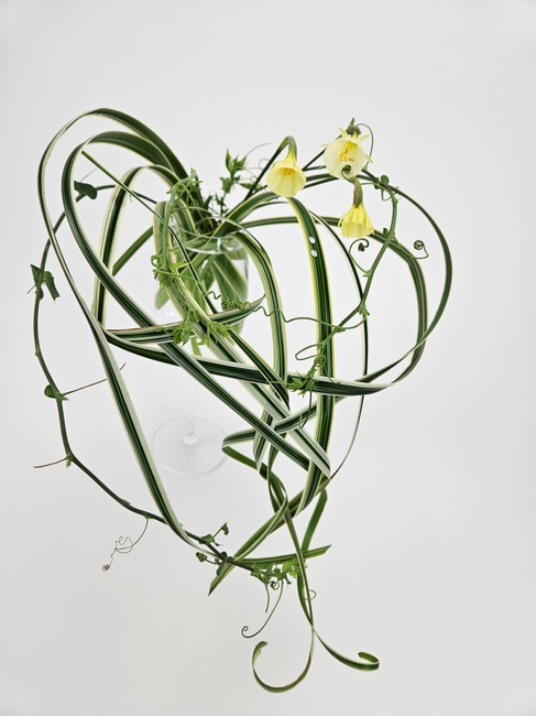 For the love of those little gasps of unexpected wonder