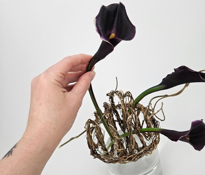 Sprouting sphere armature to show off curvy burgundy arum lilies