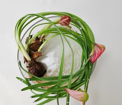 Stretching into Spring