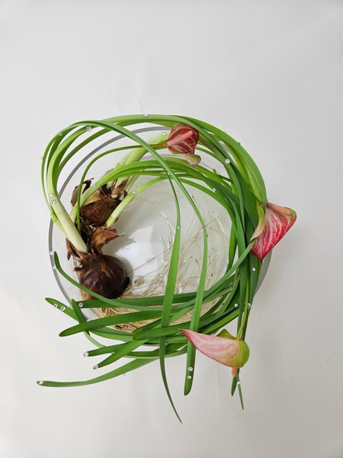 Stretching into Spring