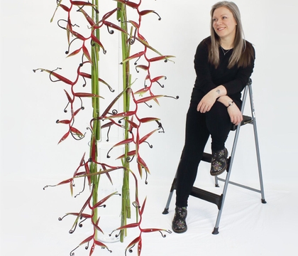 The Effortless Floral Craftsman, a floral crafter's guide to crafting with nature
