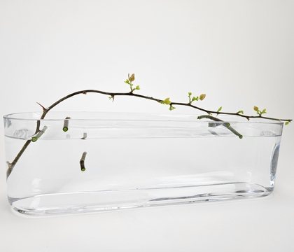 A hop, skip, and a jump