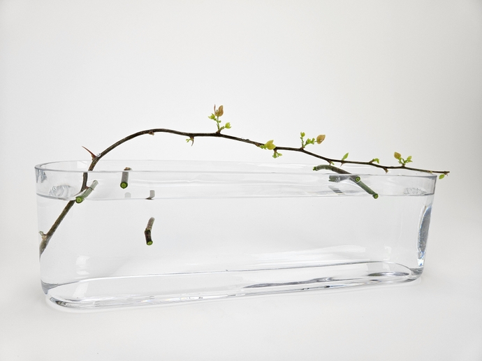 A hop, skip, and a jump