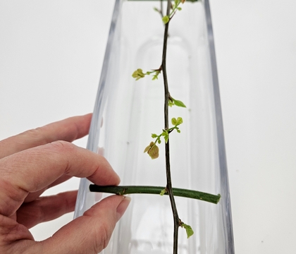 Hop over, skip one and a long jump to the other side twig suspension (with a craftsmanship magic trick in between, of course)