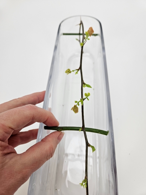 Hop over, skip one and a long jump to the other side twig suspension (with a craftsmanship magic trick in between, of course)