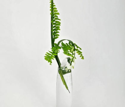 Shade-Seeking Style Choices Confirmed by “Sources” who know all about shade seeking style choices