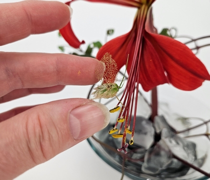 Craft your own Quaking Feeler bug from Quaking grass