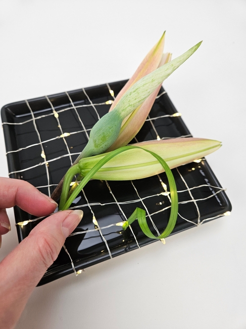 Fairy light grid with a hover like glow from below