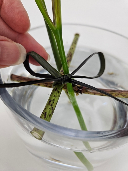 Cross and knot forked stems to support them in a minimal summer display