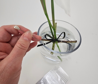 Using a pin to place tiny dew drop crystals
