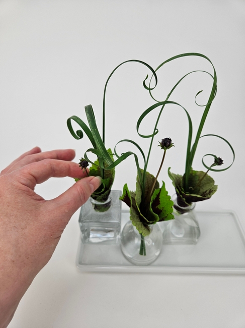 Foliage that sits under water (gasp, right!?!) to create a frilly design gap in bud vases