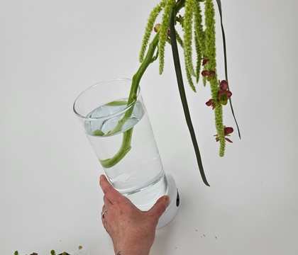 A wand-erful Amaranthus stem drape swizzle-stick