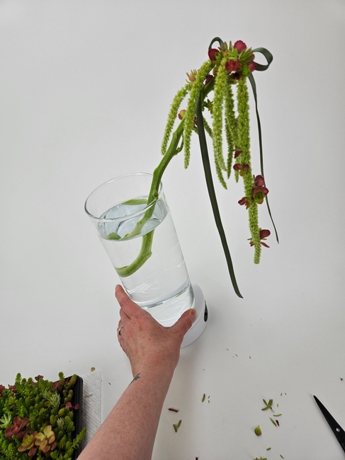 A wand-erful Amaranthus stem drape swizzle-stick
