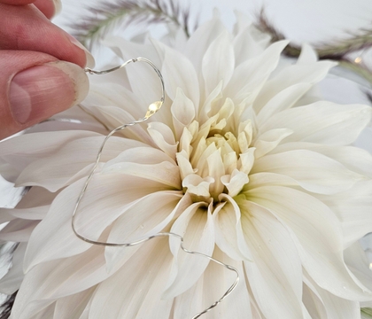 LED Fairy Lights