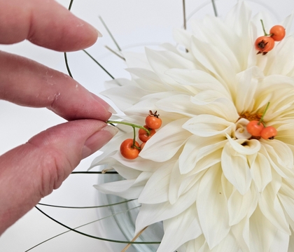 But because it is a Dahlia 'Café au Lait' … we can have a whip of grass and hint of Autumn to sprinkle on top, right?