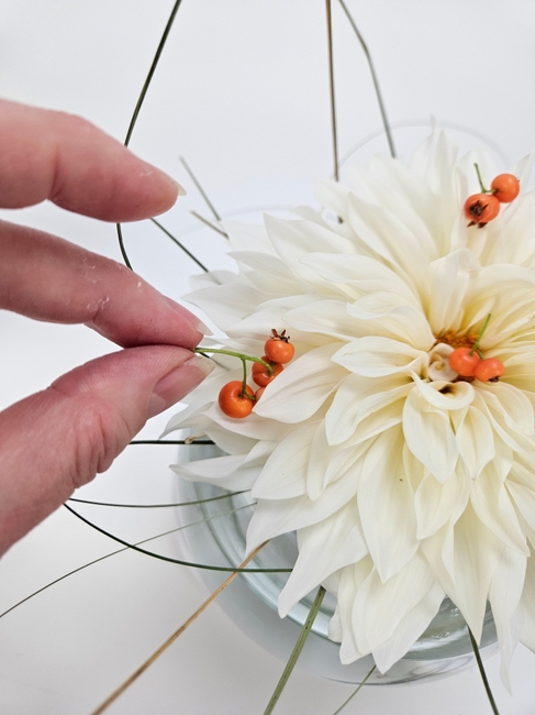 But because it is a Dahlia 'Café au Lait' … we can have a whip of grass and hint of Autumn to sprinkle on top, right?