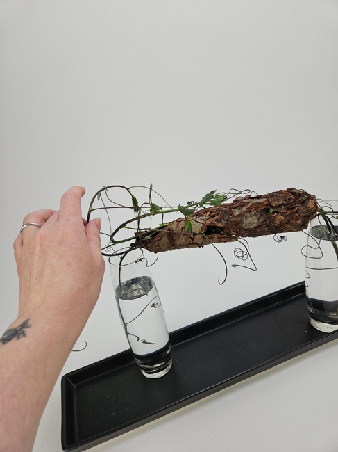 Draw a vine (or three) through a Bark base