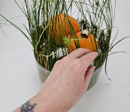 Rest a few bits of grass together to create a shelter for pumpkins, and fairy lights and delicate petals